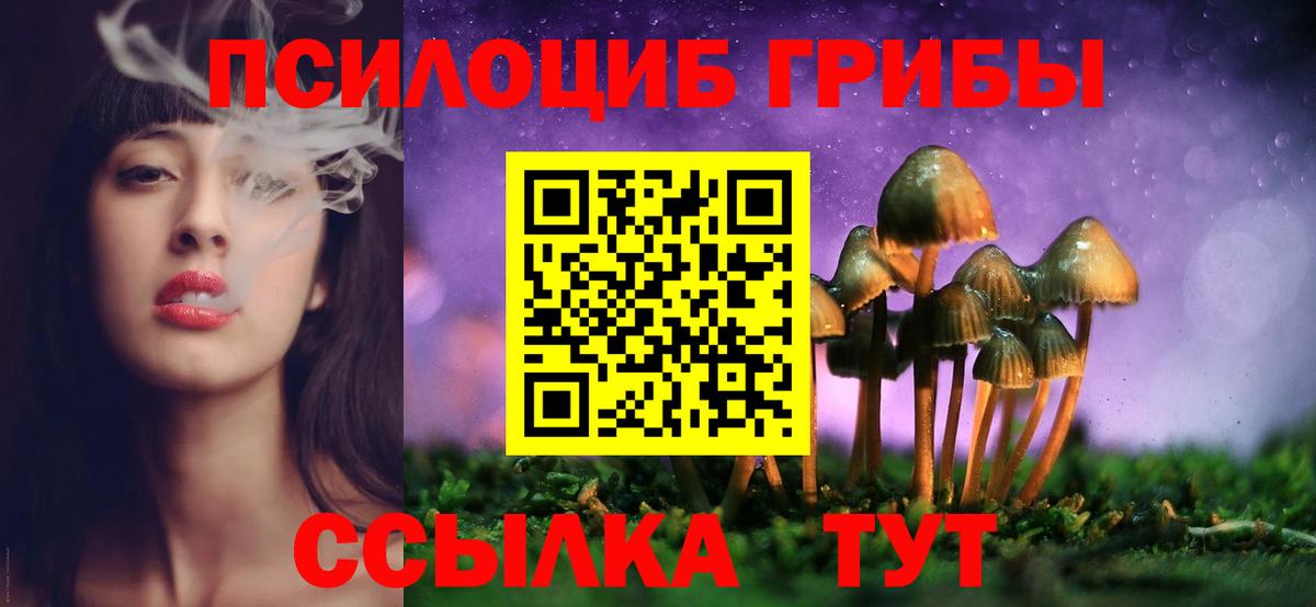 Псилоцибиновые грибы Psilocybine cubensis Миасс